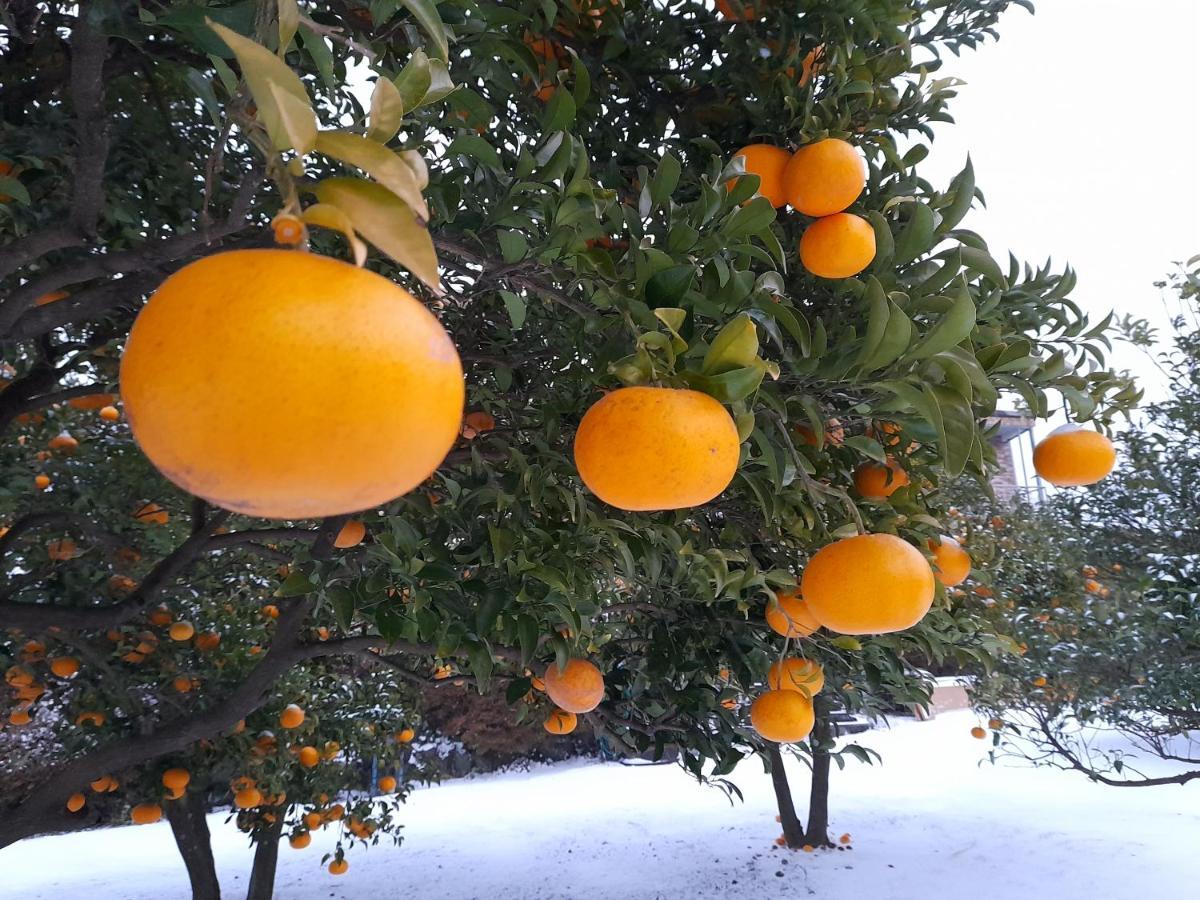 Haeansung Pension Szogüpho Kültér fotó